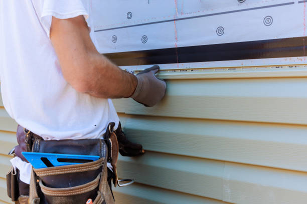 Best Custom Trim and Detailing for Siding  in Cold Spring, KY